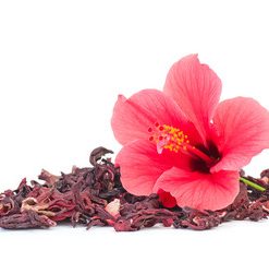 fleur-hibiscus