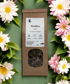 Ortie feuilles coupées bio