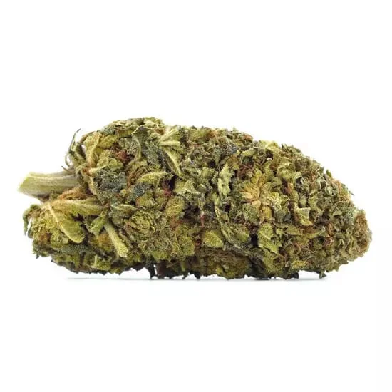 FLEUR CHEESE CBD