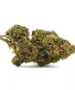 FLEUR SOUR DIESEL CBD