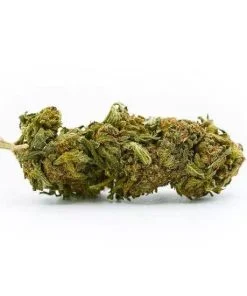 FLEUR SUPER SKUNK CBD