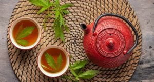 Infusion tisane CBD headlyn